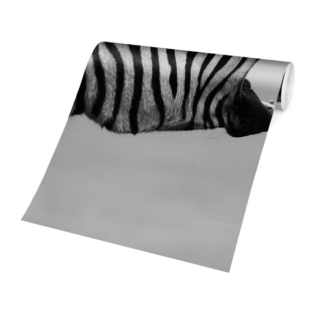 Tapete Tiere Brüllendes Zebra II