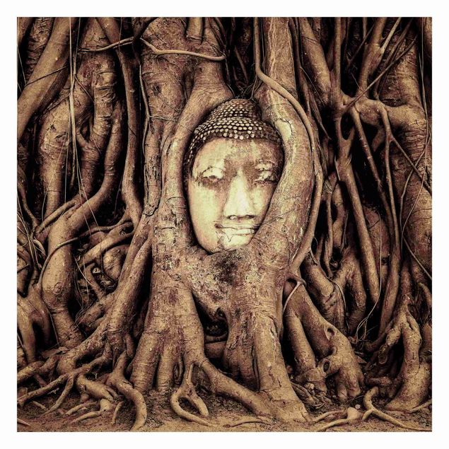 Foto Tapete Buddha in Ayutthaya von Baumwurzeln gesäumt in Braun