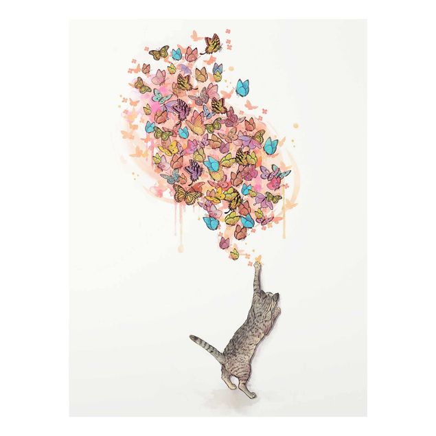 Glasbilder Tiere Illustration Katze mit bunten Schmetterlingen Malerei