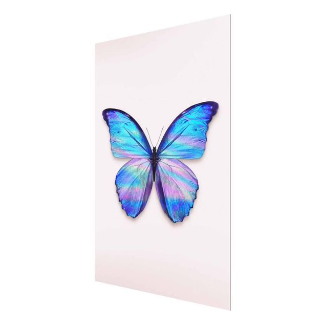 Wandbilder Kunstdrucke Holografischer Schmetterling