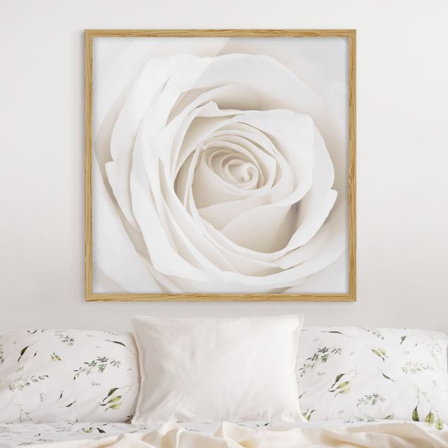 Blumenbilder mit Rahmen Pretty White Rose