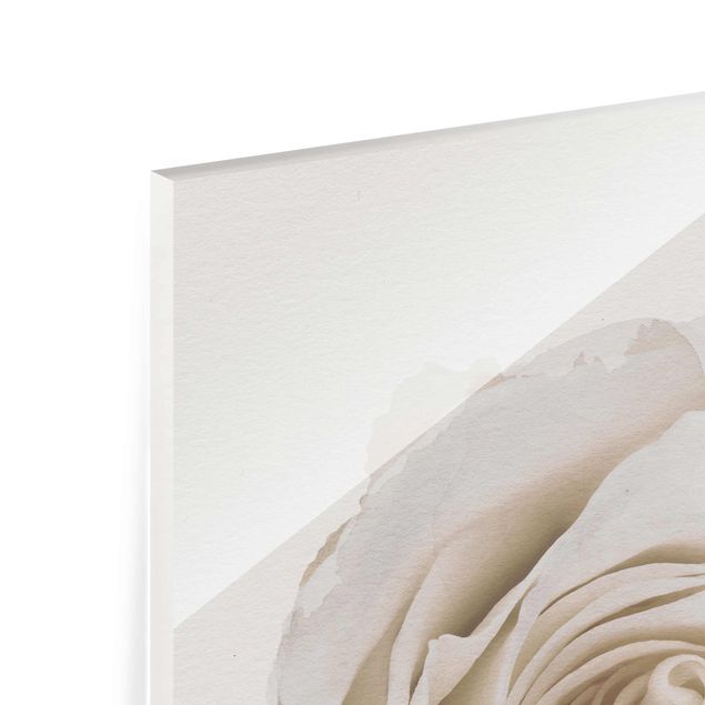 Wandbilder Wasserfarben - Pretty White Rose