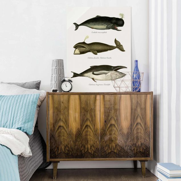 Wandbilder Fische Drei Vintage Wale
