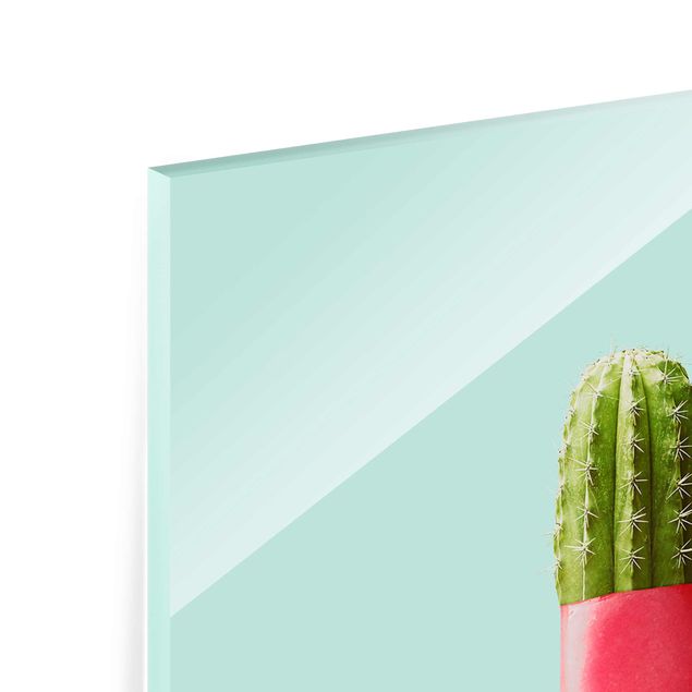 schöne Bilder Eis mit Kaktus