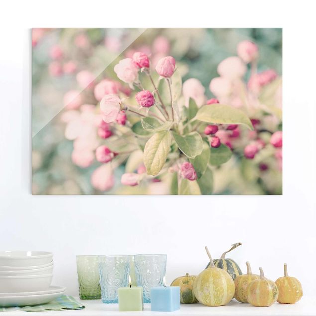 Wanddeko Küche Apfelblüte Bokeh rosa