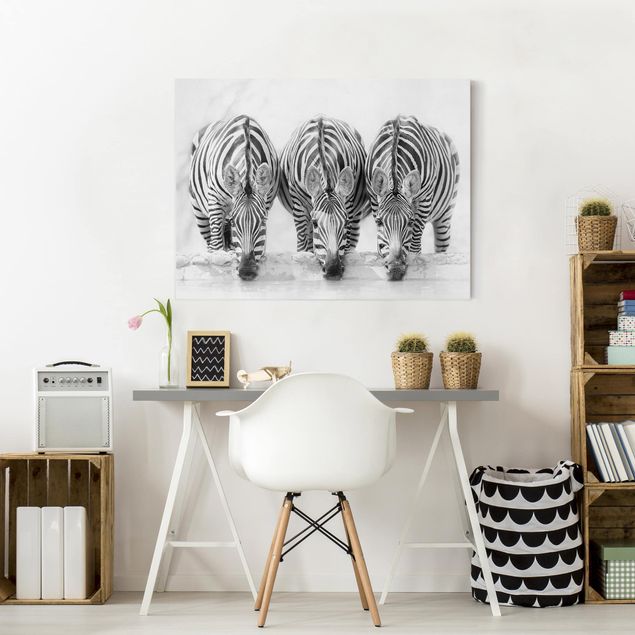 Wandbilder Zebras Zebra Trio schwarz-weiß