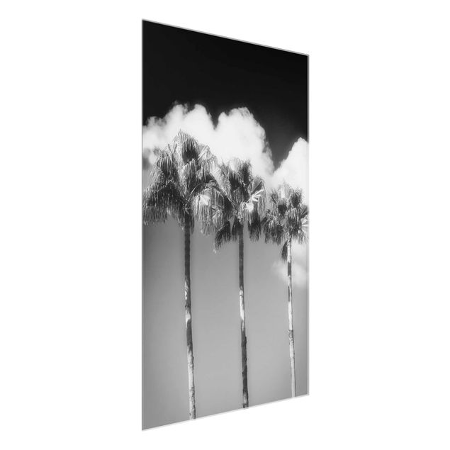 Glasbilder Schwarz-Weiß Palmen vor Himmel Schwarz-Weiß