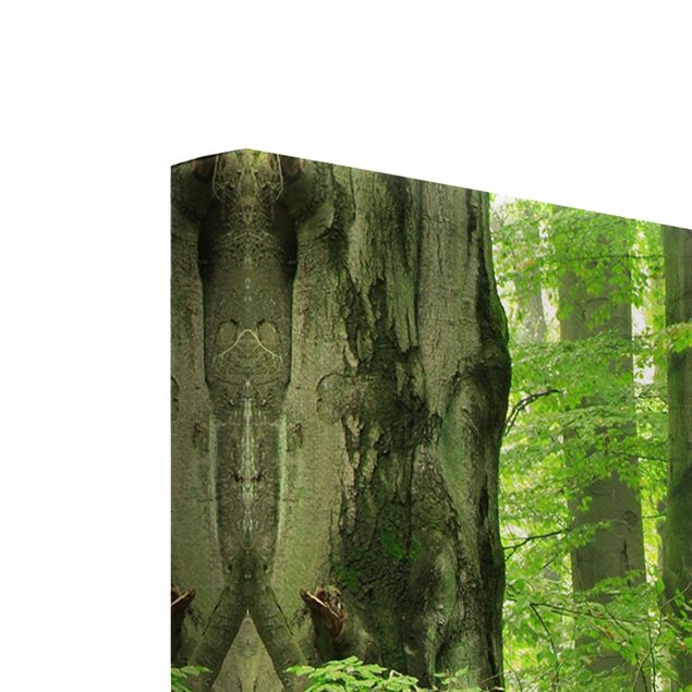 Wandbilder Grün Mighty Beech Trees