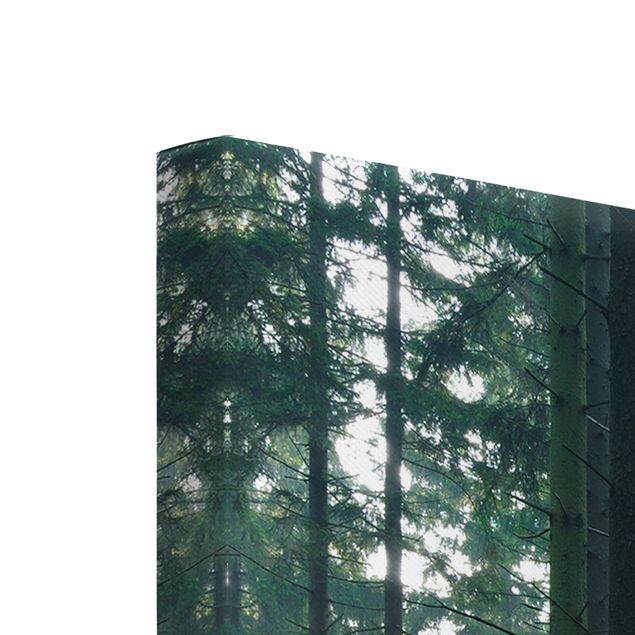 Wandbilder Grün Enlightened Forest