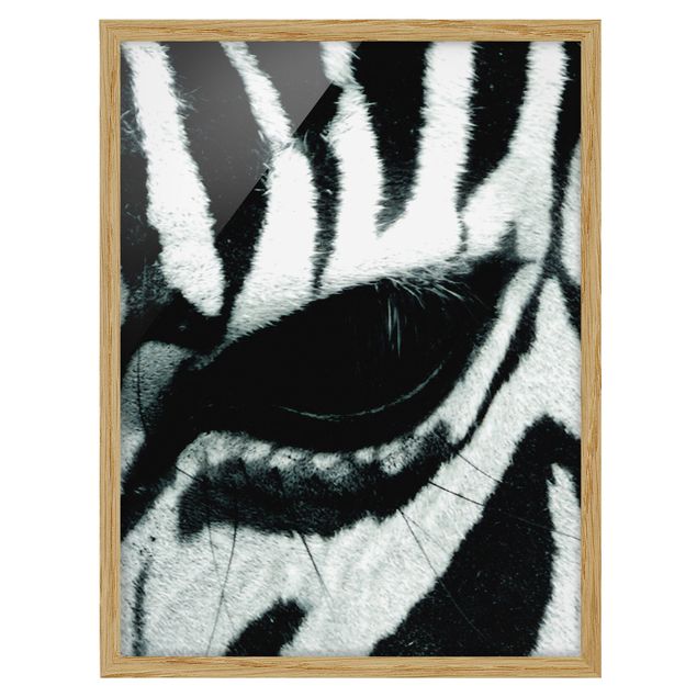 Tierbilder mit Rahmen Zebra Crossing No.4