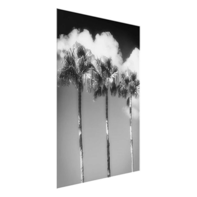 Glasbilder Schwarz-Weiß Palmen vor Himmel Schwarz-Weiß