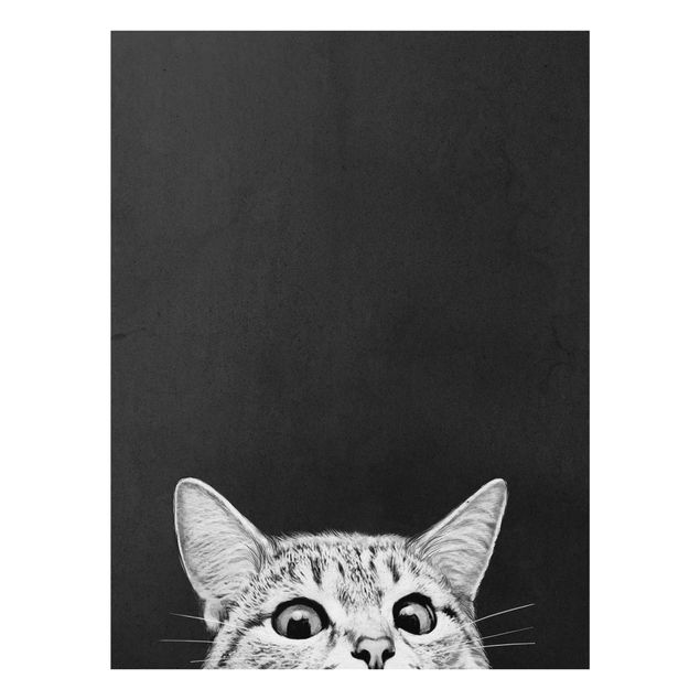 Glasbilder Schwarz-Weiß Illustration Katze Schwarz Weiß Zeichnung