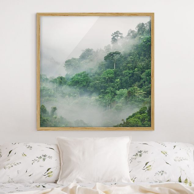 Wandbilder Bäume Dschungel im Nebel