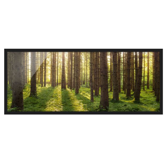 Landschaftsbilder mit Rahmen Sonnenstrahlen in grünem Wald