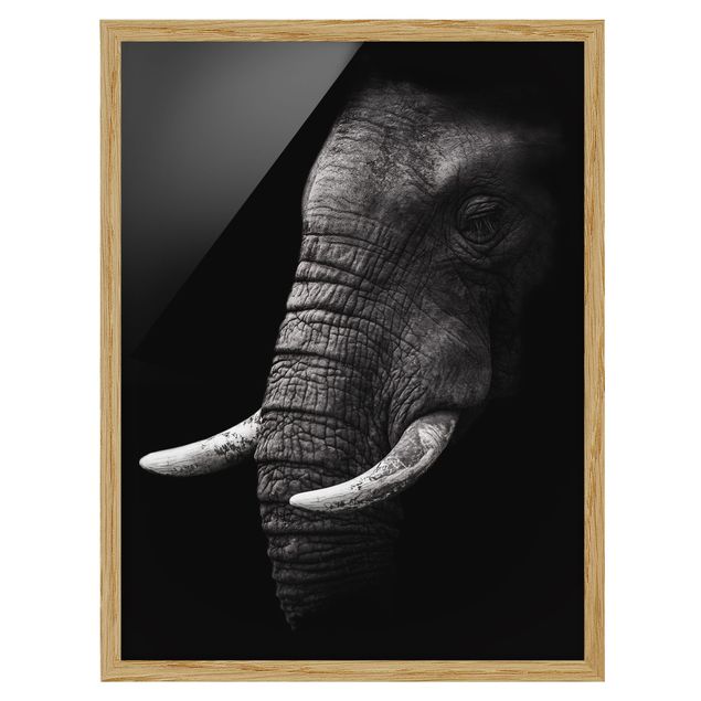 gerahmte Bilder schwarz-weiß Dunkles Elefanten Portrait