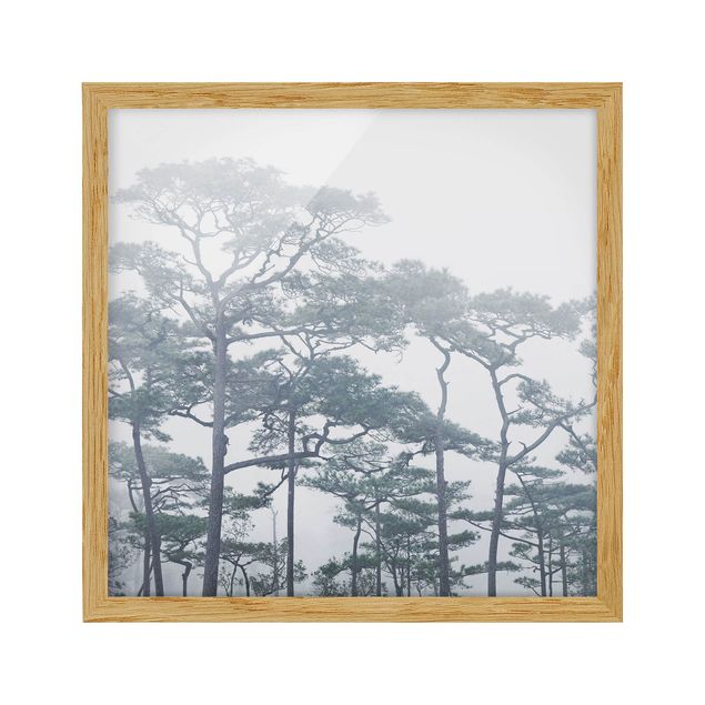 Landschaftsbilder gerahmt Baumkronen im Nebel