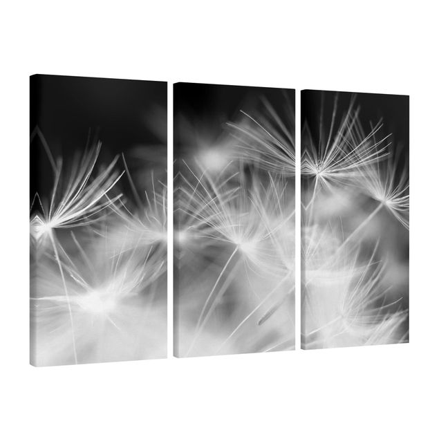 schwarz-weiß Bilder auf Leinwand Bewegte Pusteblumen Nahaufnahme auf schwarzem Hintergrund