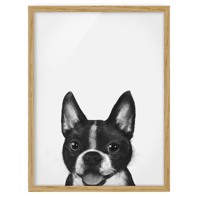Tierbilder mit Rahmen Illustration Hund Boston Schwarz Weiß Malerei