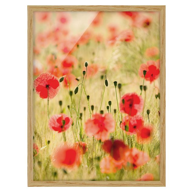Wandbilder Floral Summer Poppies