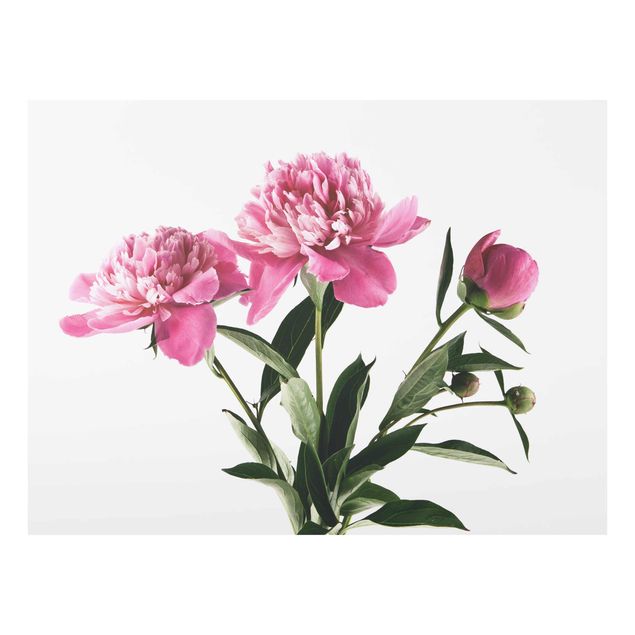 Wandbilder Floral Blüten und Knospen Pink auf Weiß