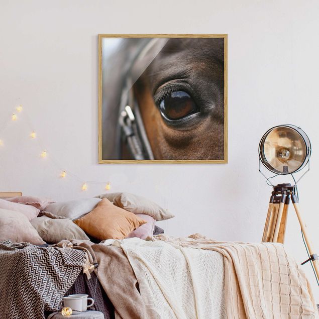 Wandbilder Modern Horse Eye No.3