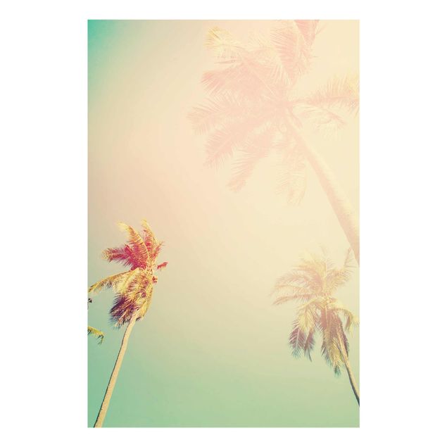 Wandbilder Floral Tropische Pflanzen Palmen bei Sonnenuntergang III