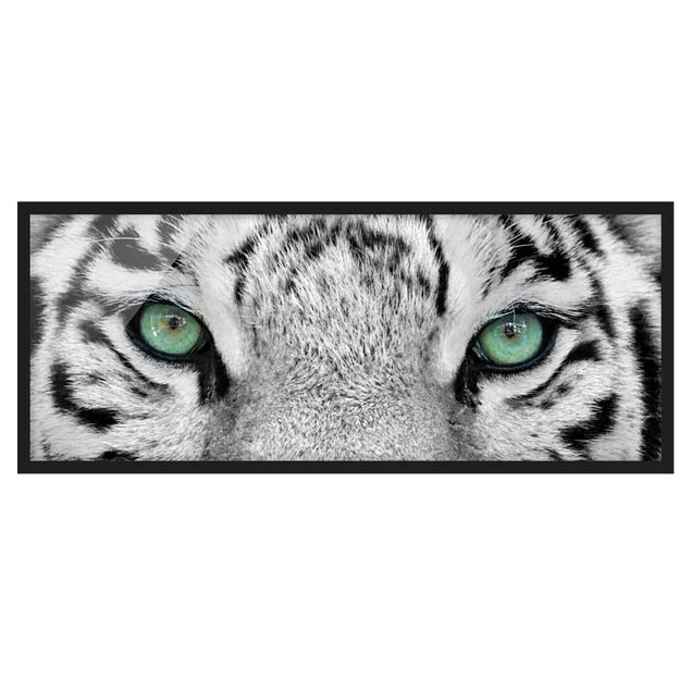 Tierbilder mit Rahmen Weißer Tiger