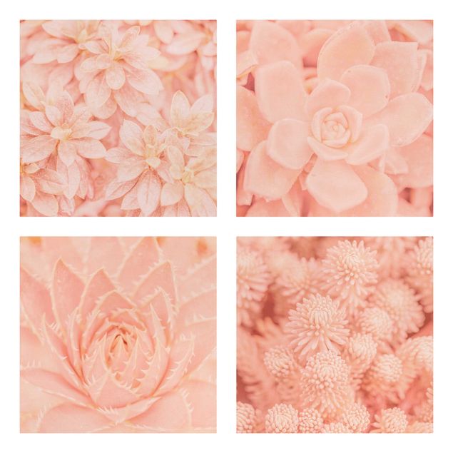 Wandbilder Floral Rosa Blütenzauber