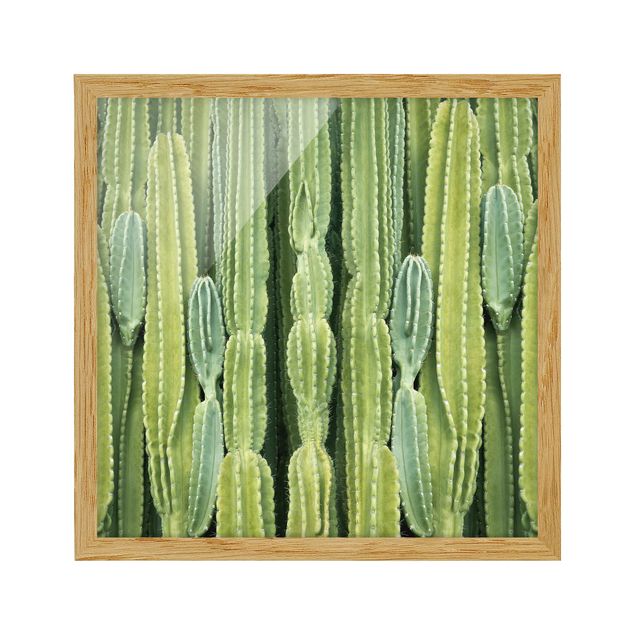 Wandbilder Blumen Kaktus Wand