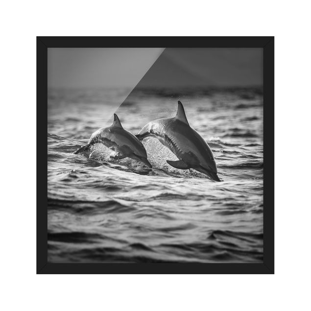 Gerahmte Bilder Tiere Zwei springende Delfine