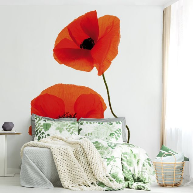 Tapete Mohnblume Charming Poppies