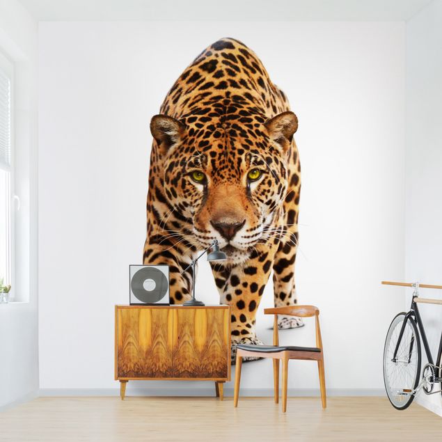Wanddeko Küche Creeping Jaguar