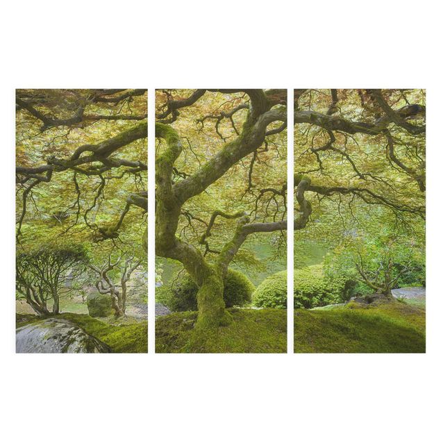 Leinwandbild Baum Grüner Japanischer Garten