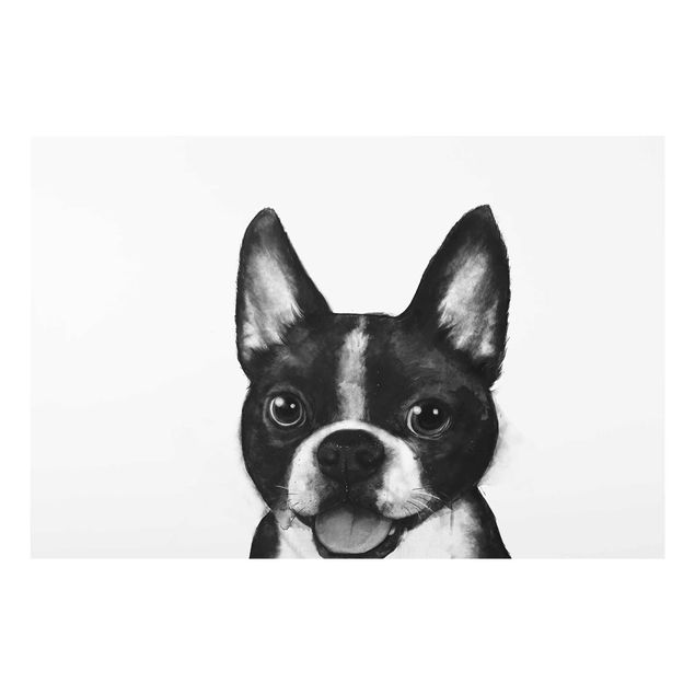 Glasbilder Tiere Illustration Hund Boston Schwarz Weiß Malerei