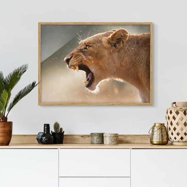 Wandbilder Landschaften Löwin auf der Jagd