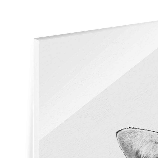 Wandbilder Kunstdrucke Illustration Katze Zeichnung Schwarz Weiß