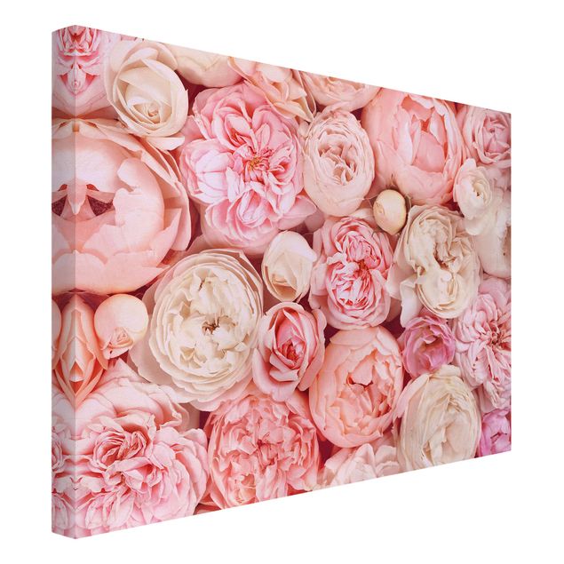 Wandbilder Floral Rosen Rosé Koralle Shabby
