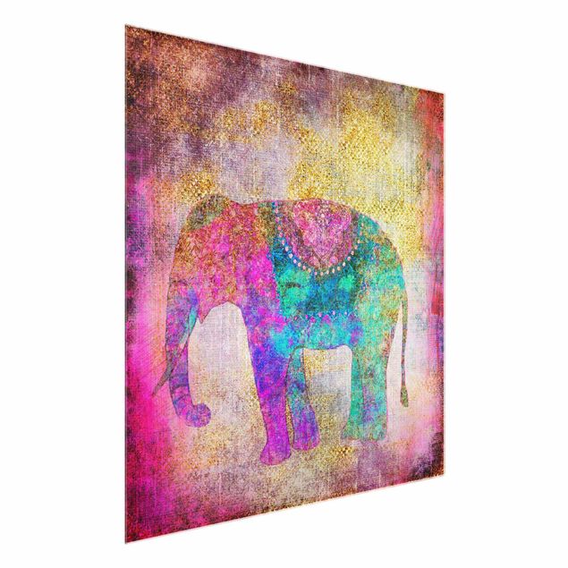 Glasbilder Tiere Bunte Collage - Indischer Elefant