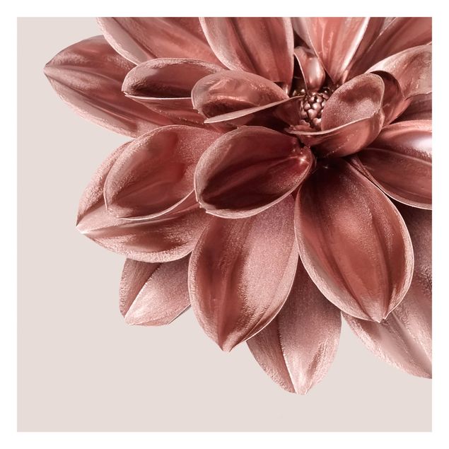 Fototapete kaufen Dahlie Blume Rosegold Metallic Detail