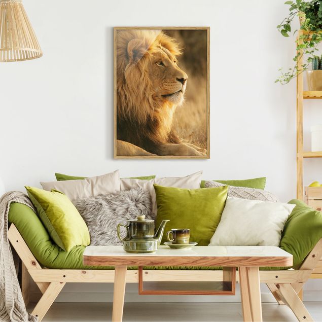 Gerahmte Bilder Tiere Löwenkönig