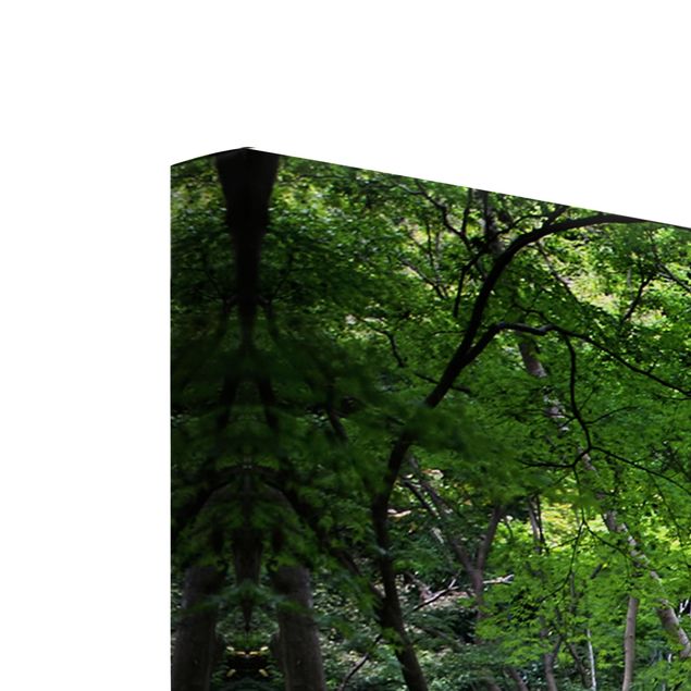 Wandbilder Grün Japanischer Wald