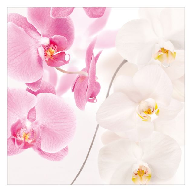 Foto Tapete Delicate Orchids