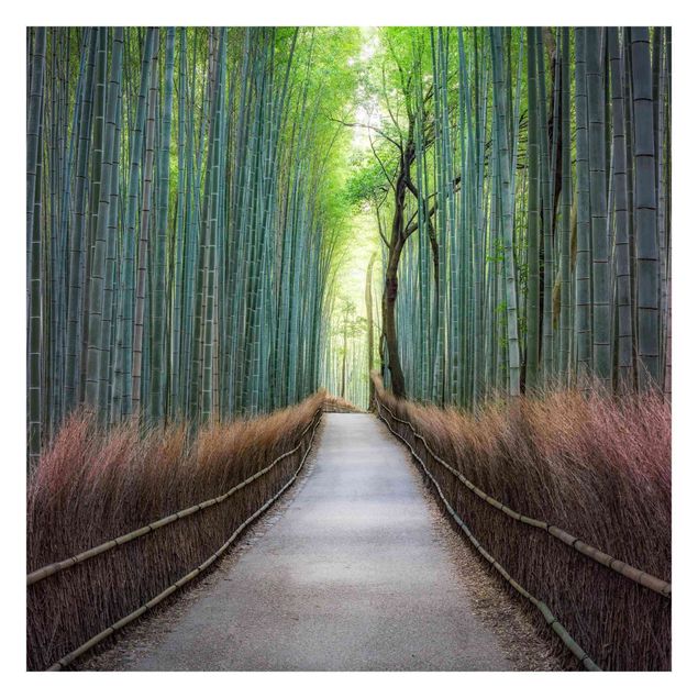 Fototapete Der Weg durch den Bambus