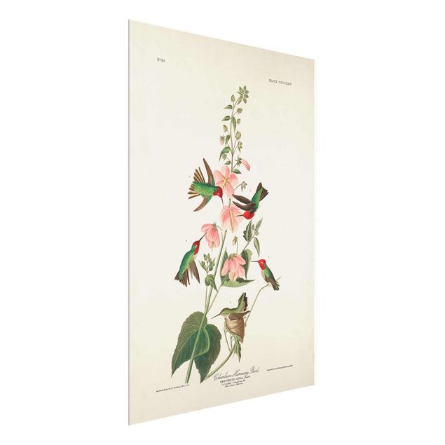 Wandbilder Blumen Vintage Lehrtafel Kolumbianische Kolibris
