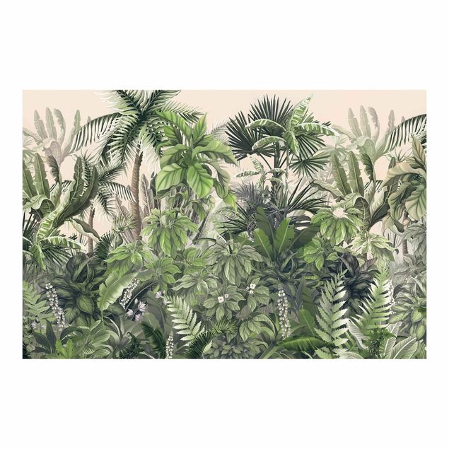 Foto Tapete Dschungelpflanzen in Grün
