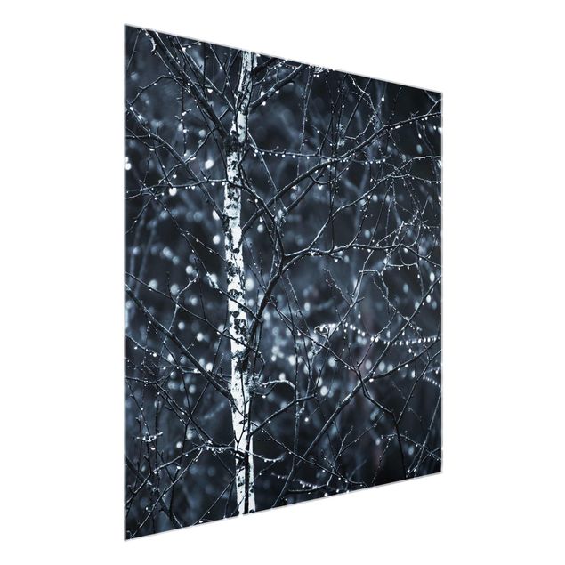 Glasbilder Landschaften Dunkle Birke im kalten Regen