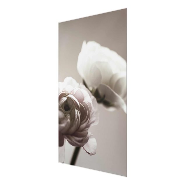 Monika Strigel Bilder Dunkle Blüte im Fokus