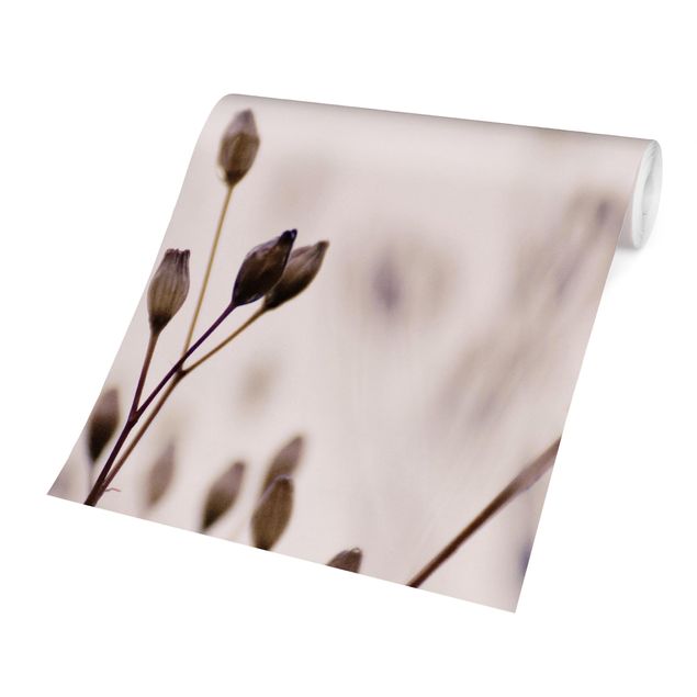 Fototapete beige Dunkle Knospen am Wildblumenzweig