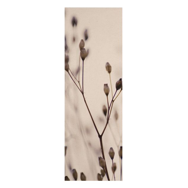 Wandbilder Blumen Dunkle Knospen am Wildblumenzweig