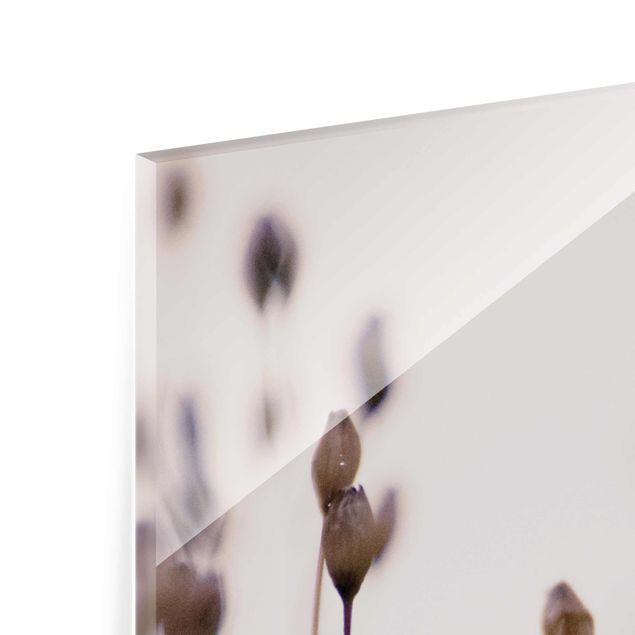 Glas Wandbilder Dunkle Knospen am Wildblumenzweig